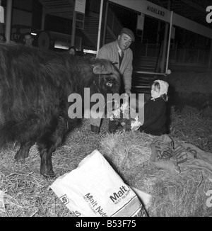 Les expositions sont mises en place à Earls Court pour le Royal Smithfield Show. Il y a deux sections, une pour les machines où tout est très soigné et les produits de nettoyage va-et-vient. Dans l'autre section entre ferme et offrant aux pieds glissants légèrement sont les animaux. Fleurs pour le Queens Highland Steer (No 174) sont offerts par Maria Moore âgés de 4. Elle vit à 4 l'étroite, Loudon Road N.W.8.. Le bannock steer est 9e de Balmoral de Kings Lynn Norfolk et âgés de 1 an, 9 mois les 27 jours. Le bouvier est M. Harry Robbins. Décembre 1969 Z11737-005 Banque D'Images