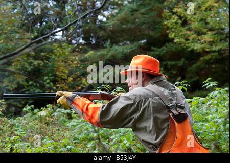 La bécasse et la perdrix ou grouse hunting au Nouveau-Brunswick Canada Banque D'Images