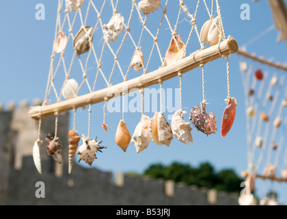 Belles coquilles de mer à vendre dans la vieille ville de Rhodes, Grèce Banque D'Images