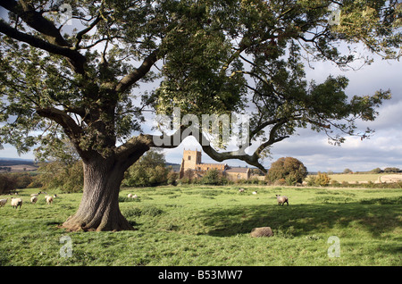 Près de Walesby, sur la façon Viking se trouve une jolie vieille église All Saints Banque D'Images