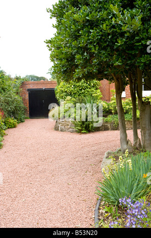 Jardin de devant d'une grande maison individuelle avec allée en gravier rouge et les buissons de houx Banque D'Images