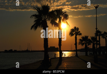 Palmiers le long de la promenade du front de mer dans la lumière du soir à Paphos Chypre Europe Banque D'Images