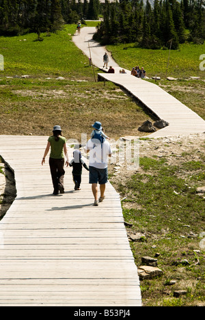Les visiteurs sur le sentier du lac caché dans le parc national des Glaciers Banque D'Images