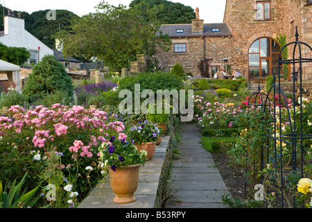 Des roses et des plantes en pot sur une terrasse jardin Banque D'Images