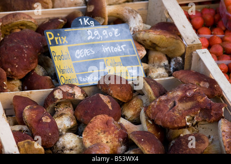 Champignons - Marché à Vic Fezensac - Sud de France Banque D'Images