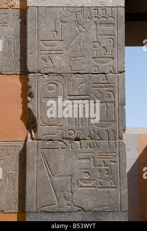 Détail de chapelle rouge d'Hatshepsout au musée en plein air Temple de Karnak Louxor en Égypte Banque D'Images