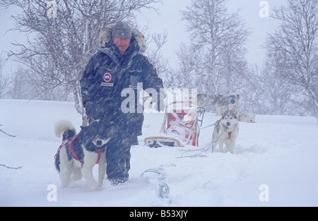 Dans la tempête de neige - huskies Banque D'Images