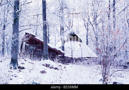Reconstruire à partir de l'âge de pierre de la chambre Banque D'Images