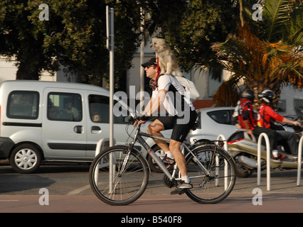 Un cycliste à travers Nice avec son chien sur son épaule Banque D'Images