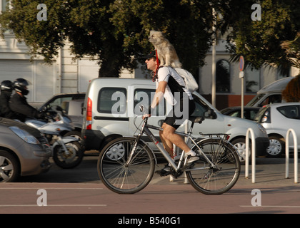 Un cycliste à travers Nice avec son chien sur son épaule Banque D'Images