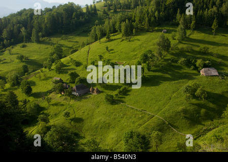 L'agriculture à l'ancienne dans les montagnes Piatra Craiulu Parc National de Roumanie coupe de foin à la main Les pâturages non bonifiés etc Banque D'Images