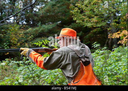 La bécasse et la perdrix ou grouse hunting au Nouveau-Brunswick Canada Banque D'Images