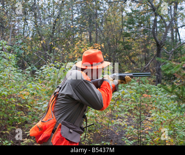 La bécasse et la perdrix ou grouse hunting au Nouveau-Brunswick Canada Banque D'Images