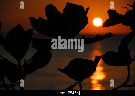 La plage de Rincón, Porto Rico, est le premier endroit à voir certains des plus beaux couchers de soleil à l'ensemble de la Caraïbes Banque D'Images