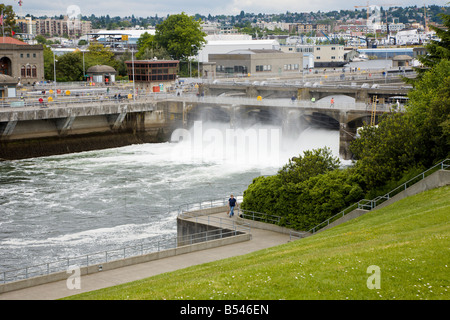 M. Chittenden Locks Hiran, ou Ballard Locks, dans Salmon Bay au nord de Seattle Washington Banque D'Images