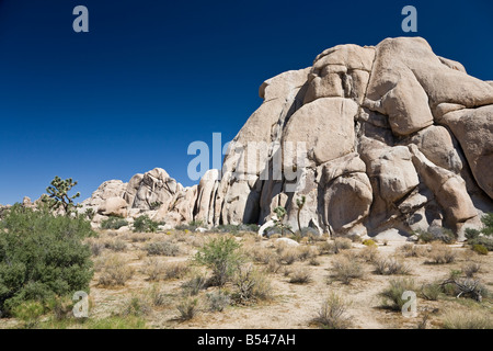 Vallée Cachée dans Joshua Tree National Park est situé dans le sud-est de la Californie. Banque D'Images