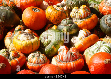 La citrouille (Cucurbita pepo), variété : Hokkaido et les Turks Turban Squash en vente dans une échoppe de marché Banque D'Images