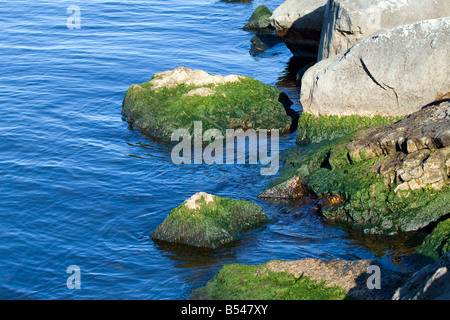 Des roches couvertes de mousse dans les eaux bleues du Lac Michigan Banque D'Images