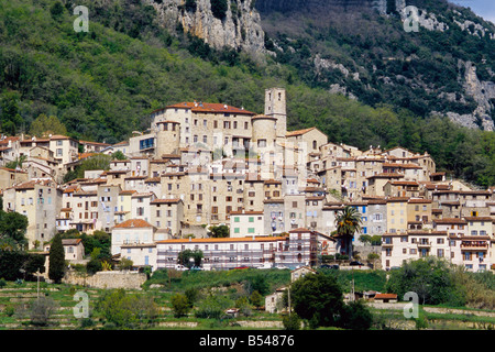 Le Bar sur Loup Alpes-maritimes 06 French riviera cote d'Azur PACA France Europe Banque D'Images