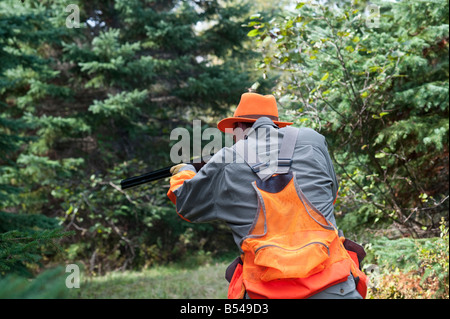 La bécasse et la perdrix ou grouse hunting au Nouveau-Brunswick Canada Banque D'Images