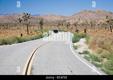 Joshua Tree National Park est situé dans le sud-est de la Californie. Banque D'Images