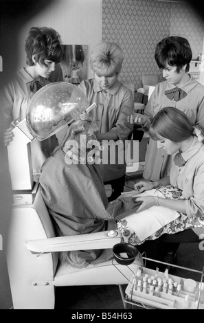 Impey l'animal de Mme Anith Doe qui est propriétaire d'un salon de coiffure et de beauté à Bognor Regis. Impey a le plein traitement à la beauté sal Banque D'Images