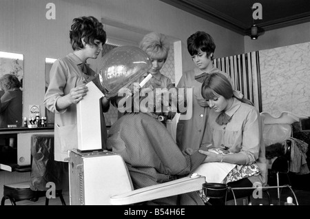 Impey l'animal de Mme Anith Doe qui est propriétaire d'un salon de coiffure et de beauté à Bognor Regis. Impey a le plein traitement à la beauté sal Banque D'Images