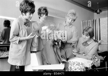 Impey, l'animal de Mme Anith Doe qui est propriétaire d'un salon de coiffure et de beauté à Bognor Regis. ;Qui est le VIP obtenir le traitement ? ;Oct. 1 Banque D'Images