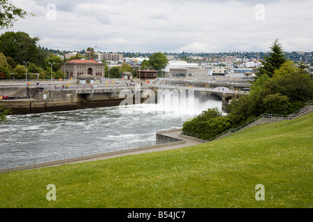 M. Chittenden Locks Hiran, ou Ballard Locks, dans Salmon Bay au nord de Seattle Washington Banque D'Images