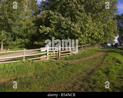 Country lane et sentier dans la campagne Banque D'Images