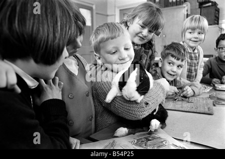 6-year-old John Sweeting (fair-haired boy avec son animal lapin dans la salle de classe à l'Église d'Angleterre Rawmarsh Nourrissons School hier lundi). Décembre 1969 Z11756-002 Banque D'Images