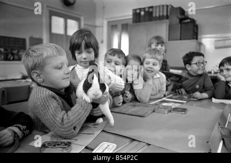 6-year-old John Sweeting (fair-haired boy avec son animal lapin dans la salle de classe à l'Église d'Angleterre Rawmarsh Nourrissons School hier lundi). Décembre 1969 Z11756 Banque D'Images