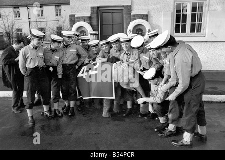 Twiggy le bébé éléphant avait une demi-heure de retard pour son rendez-vous à 'remorquer des lieux', les 47 ans, le Capitaine Derek Napper Napper, skipper de HMS Ganges l'école de formation navale Shotley Suffolk, et a constaté qu'elle avait été remplacé par une paire de chevaux. Une demi-heure de retard, mais le bébé éléphant Twiggy obtient un mot de bienvenue de l'équipage. Novembre 1969 Z11406 Banque D'Images