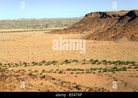 Zone des plaines dans le Damaraland Twyfelfontein en Namibie Banque D'Images