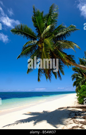 Plage à Grand Anse Praslin Seychelles Banque D'Images