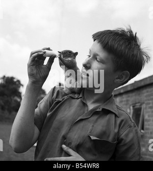 Paul Tautz, âgés de 12, 10, Route de Dorking, Epsom, est vu avec son animal Squirrel John Willy. Juin 1960 M4257-002 Banque D'Images