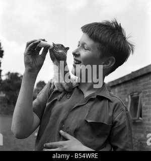 Paul Tautz, âgés de 12, 10, Route de Dorking, Epsom, est vu avec son animal Squirrel John Willy. Juin 1960 M4257-005 Banque D'Images