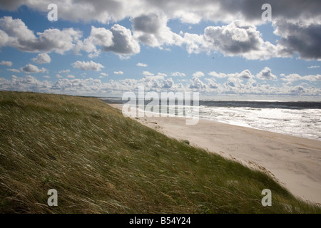 La plage baltique de la Courlande en Lituanie Banque D'Images