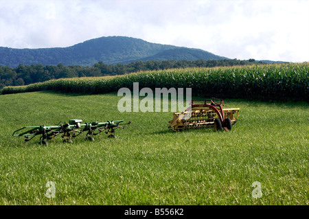 Équipement agricole assis dans un champ pays au début de l'été. Banque D'Images