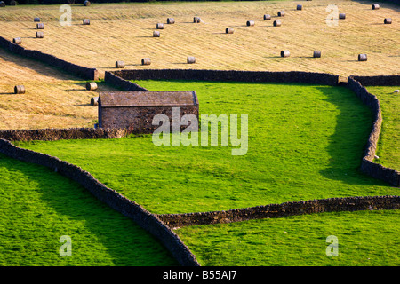 Prés à foin Gunnerside Swaledale England Yorkshire Dales Banque D'Images