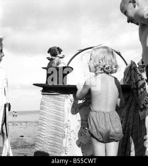 Divertissement : Punch and Judy Show. Ses débuts est de 2 mois chien Toby. Les jeunes comme il est, il est assis sur la scène de John's old top hat. C'est tout ce qu'il va faire jusqu'à ce qu'il grandit et pouvez trot parmi le public avec un conteneur de ramassage après chaque scène. Septembre 1953 D5619-004 Banque D'Images