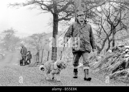 Chiens animaux : il est délabré à la recherche... mais aimable. Il en coûtait quelques shillings quand il était une petite boule de laine. Mais pour le pensionné Selena Greenwood il vaut chaque centime de la £300 elle a passé sur lui au cours des 2 ans 1/2. BobbyÖyou pourrait l'appeler un vieux English Sheepdog a passé les 2 ans 1/2 la vivant jusqu'à l'extérieur de la maison ...avec traitement de 5 étoiles à un embarquement chenil parce que sa maîtresse n'avait pas de maison pour qu'après elle est sortie de l'hôpital. Bobby est désormais en cours de réhabilitation pour bientôt lui et son propriétaire sera de nouveau ensemble quand elle reçoit un accueil de ses propres. Décembre 1969 Z12024-003 Banque D'Images