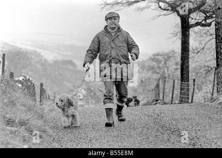 Chiens animaux : il est délabré à la recherche... mais aimable. Il en coûtait quelques shillings quand il était une petite boule de laine. Mais pour le pensionné Selena Greenwood il vaut chaque centime de la £300 elle a passé sur lui au cours des 2 ans 1/2. BobbyÖyou pourrait l'appeler un vieux English Sheepdog a passé les 2 ans 1/2 la vivant jusqu'à l'extérieur de la maison ...avec traitement de 5 étoiles à un embarquement chenil parce que sa maîtresse n'avait pas de maison pour qu'après elle est sortie de l'hôpital. Bobby est désormais en cours de réhabilitation pour bientôt lui et son propriétaire sera de nouveau ensemble quand elle reçoit un accueil de ses propres. Décembre 1969 Z12024-004 Banque D'Images