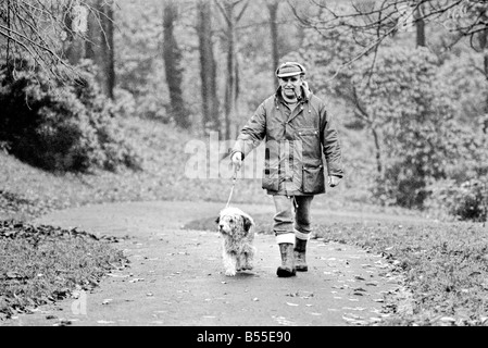 Chiens animaux : il est délabré à la recherche... mais aimable. Il en coûtait quelques shillings quand il était une petite boule de laine. Mais pour le pensionné Selena Greenwood il vaut chaque centime de la £300 elle a passé sur lui au cours des 2 ans 1/2. BobbyÖyou pourrait l'appeler un vieux English Sheepdog a passé les 2 ans 1/2 la vivant jusqu'à l'extérieur de la maison ...avec traitement de 5 étoiles à un embarquement chenil parce que sa maîtresse n'avait pas de maison pour qu'après elle est sortie de l'hôpital. Bobby est désormais en cours de réhabilitation pour bientôt lui et son propriétaire sera de nouveau ensemble quand elle reçoit un accueil de ses propres. Décembre 1969 Z12024-007 Banque D'Images