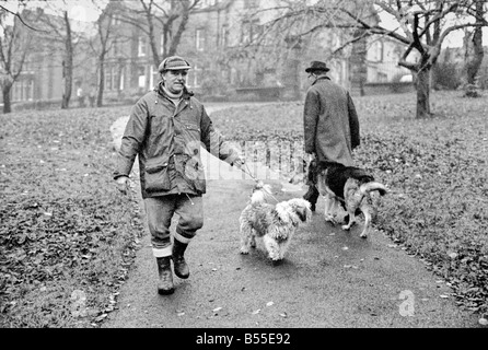 Chiens animaux : il est délabré à la recherche... mais aimable. Il en coûtait quelques shillings quand il était une petite boule de laine. Mais pour le pensionné Selena Greenwood il vaut chaque centime de la £300 elle a passé sur lui au cours des 2 ans 1/2. BobbyÖyou pourrait l'appeler un vieux English Sheepdog a passé les 2 ans 1/2 la vivant jusqu'à l'extérieur de la maison ...avec traitement de 5 étoiles à un embarquement chenil parce que sa maîtresse n'avait pas de maison pour qu'après elle est sortie de l'hôpital. Bobby est désormais en cours de réhabilitation pour bientôt lui et son propriétaire sera de nouveau ensemble quand elle reçoit un accueil de ses propres. Décembre 1969 Z12024-008 Banque D'Images