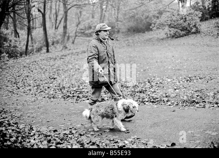 Chiens animaux : il est délabré à la recherche... mais aimable. Il en coûtait quelques shillings quand il était une petite boule de laine. Mais pour le pensionné Selena Greenwood il vaut chaque centime de la £300 elle a passé sur lui au cours des 2 ans 1/2. BobbyÖyou pourrait l'appeler un vieux English Sheepdog a passé les 2 ans 1/2 la vivant jusqu'à l'extérieur de la maison ...avec traitement de 5 étoiles à un embarquement chenil parce que sa maîtresse n'avait pas de maison pour qu'après elle est sortie de l'hôpital. Bobby est désormais en cours de réhabilitation pour bientôt lui et son propriétaire sera de nouveau ensemble quand elle reçoit un accueil de ses propres. Décembre 1969 Z12024-009 Banque D'Images