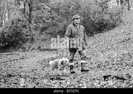 Chiens animaux : il est délabré à la recherche... mais aimable. Il en coûtait quelques shillings quand il était une petite boule de laine. Mais pour le pensionné Selena Greenwood il vaut chaque centime de la £300 elle a passé sur lui au cours des 2 ans 1/2. BobbyÖyou pourrait l'appeler un vieux English Sheepdog a passé les 2 ans 1/2 la vivant jusqu'à l'extérieur de la maison ...avec traitement de 5 étoiles à un embarquement chenil parce que sa maîtresse n'avait pas de maison pour qu'après elle est sortie de l'hôpital. Bobby est désormais en cours de réhabilitation pour bientôt lui et son propriétaire sera de nouveau ensemble quand elle reçoit un accueil de ses propres. Décembre 1969 Z12024 Banque D'Images