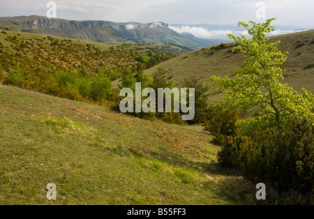 Les Cévennes à l'Est du Causse calcaire sous le Mont Aigoual France Banque D'Images