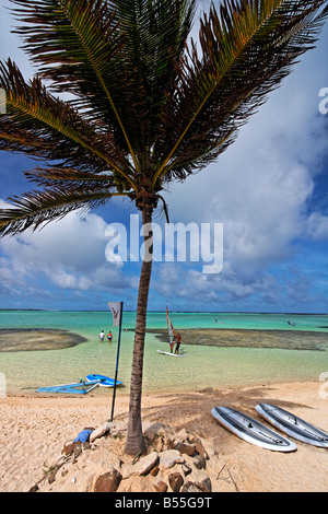 West Indies, Bonaire, surfeur Lac Bay Banque D'Images