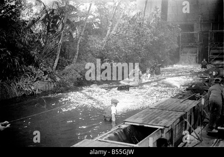 La séquence de tir Zambese rapids à Elstree étaient Jeanne Crain, Dana Andrews et Michael Mataka qui apparaissent tous dans l'Associated British - Marcel Hellman Technicolor photo 'Duel dans la jungle'. Novembre 1953 D6870-006 Banque D'Images